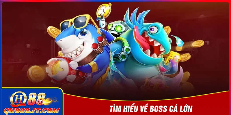 Tìm hiểu về boss cá lớn